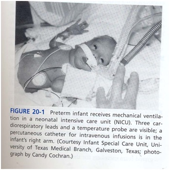 ارزيابي مراقبت هاي ويژة نوزادان ور در NICU صدا در NICU مراقبت در NICU نوزادان در NICU ماساژ نوزاد
محيط NICU نور در NICU صدا مراقبت نوزاد خانواده ها در كاردرمانی مراقبت ويژه نوزادان ماساژ نوزاد تحريك شنوايی تاخير حركتی کاردرمانی در nicu