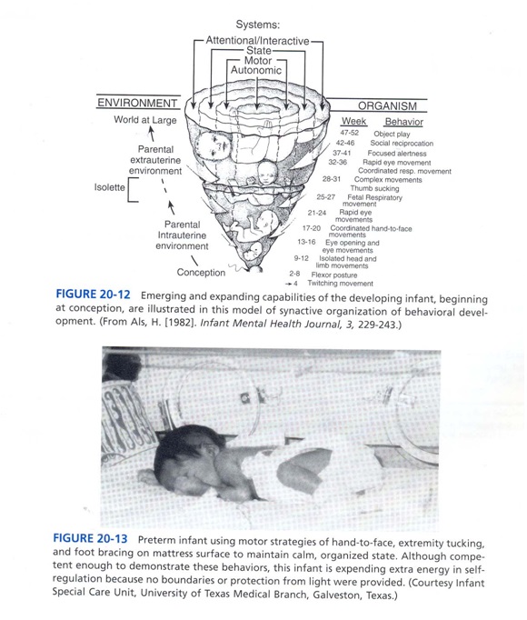 ارزيابي مراقبت هاي ويژة نوزادان ور در NICU صدا در NICU مراقبت در NICU نوزادان در NICU ماساژ نوزاد
محيط NICU نور در NICU صدا مراقبت نوزاد خانواده ها در كاردرمانی مراقبت ويژه نوزادان ماساژ نوزاد تحريك شنوايی تاخير حركتی کاردرمانی در nicu