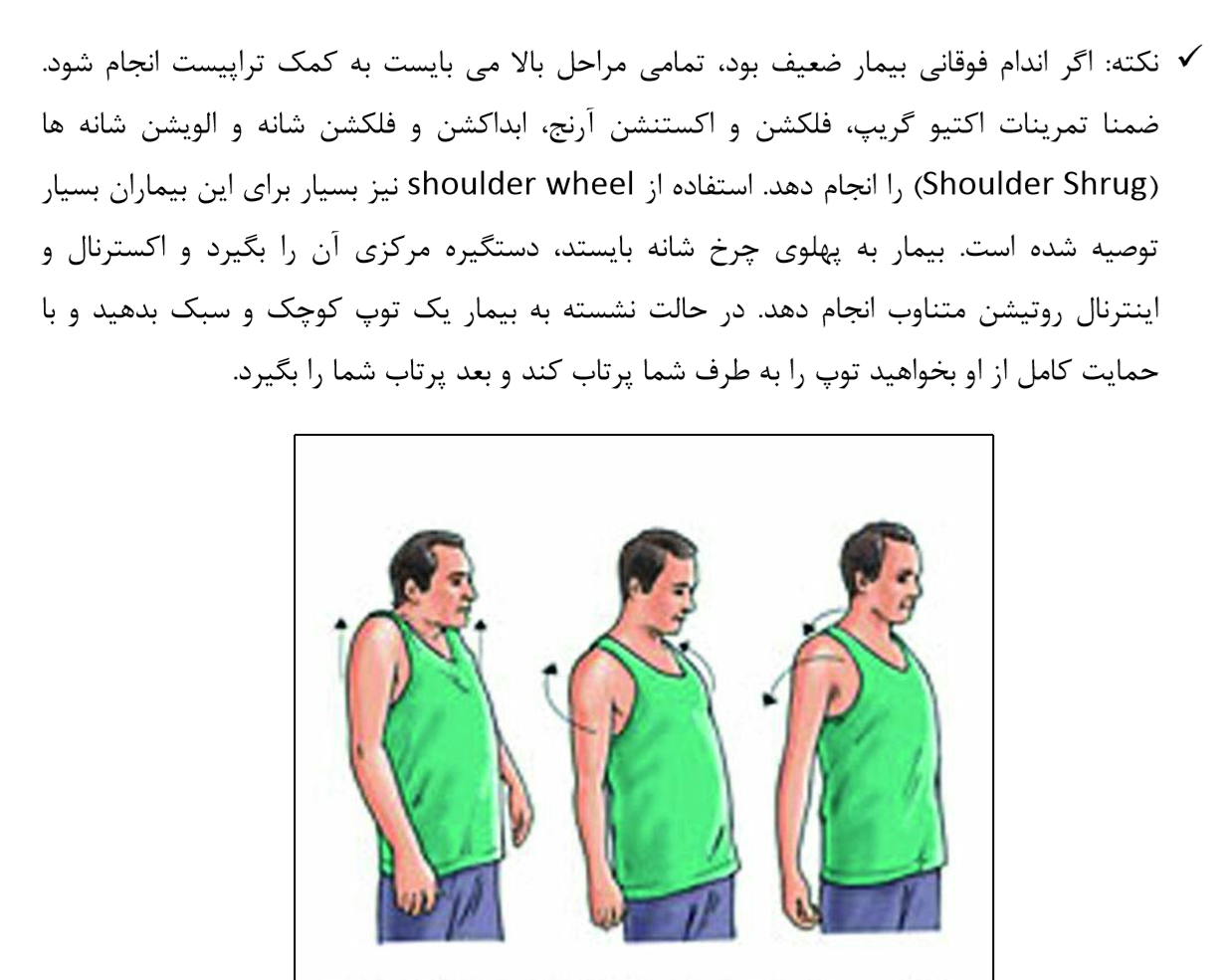 بهترين و مهمترين تمرين های کاردرمانی/فیزیوتراپی برای افراد مبتلا به ام اس MS